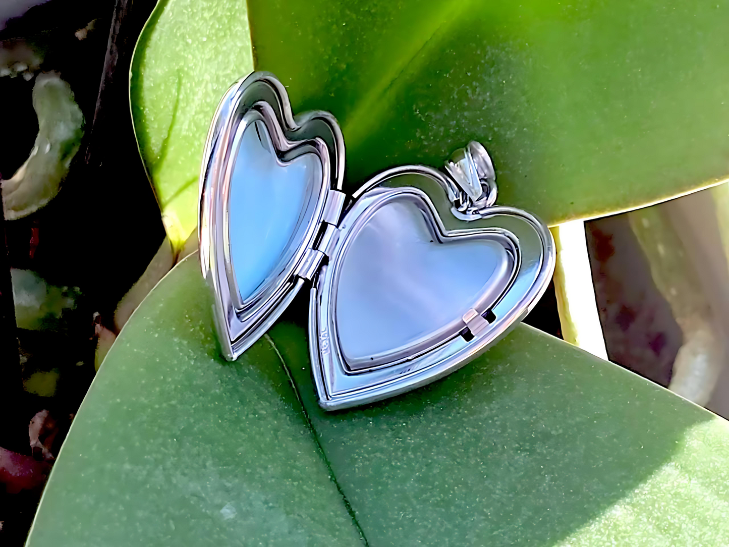 925 Sterling Silver Heart with Paw Prints Locket Urn Pendant Necklace
