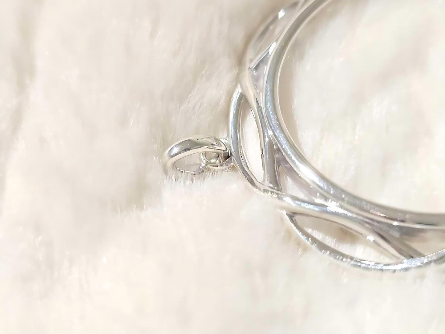 925 Sterling Silver Prong Back Braided Edge Bezel for 38mm 1 Dollar Coins